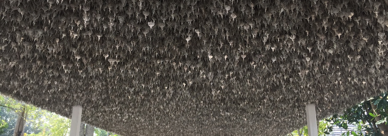 Sed ullam nobis labore inventore dolores.